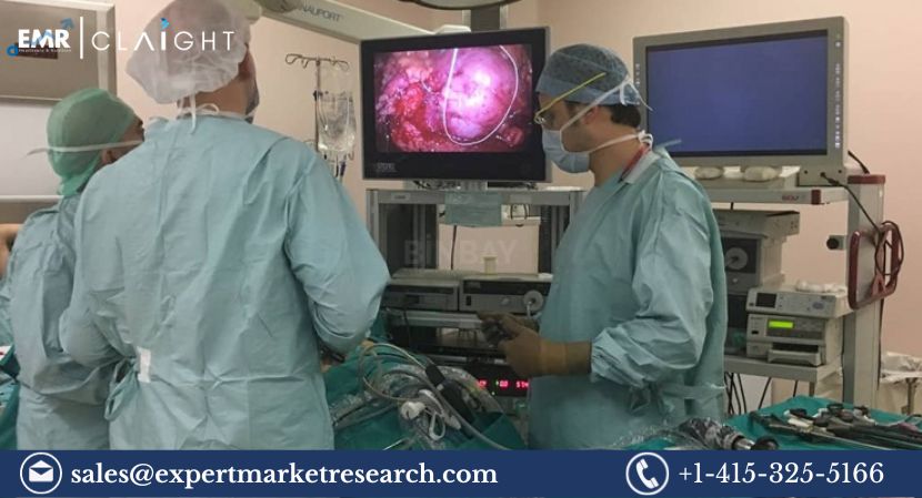 Read more about the article Global Ureteroscopy Market Size, Share, Growth, Analysis Report and Forecast 2024-2032