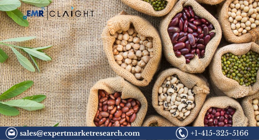 Read more about the article Global Vegetable Seed Market Share, Size, Growth, Analysis, Report and Forecast 2024-2032