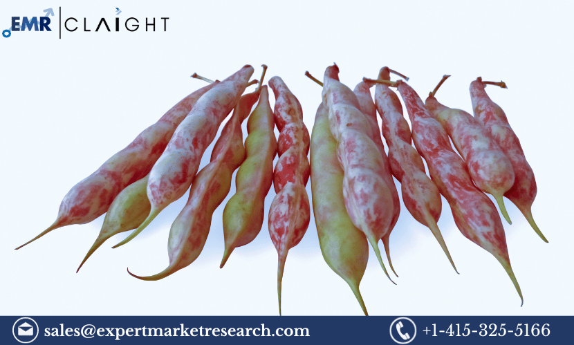 Read more about the article Global Fava Beans Market Size, Growth, Share, Analysis, Key Players, Trends, Report, Forecast 2024-2032