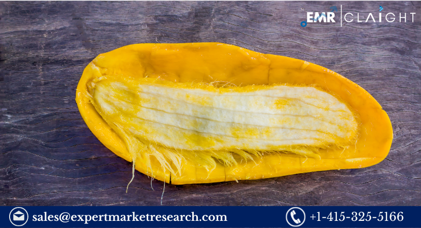 Read more about the article Global African Mango Seed Extract Market Size, Share, Price, Trends, Growth, Analysis, Report, Forecast 2024-2032