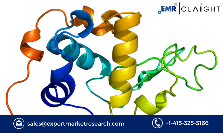 Read more about the article Global Alpha Lactalbumin Market Size, Share, Industry Report, Growth, Analysis, Key Players, and Forecast 2024-2032