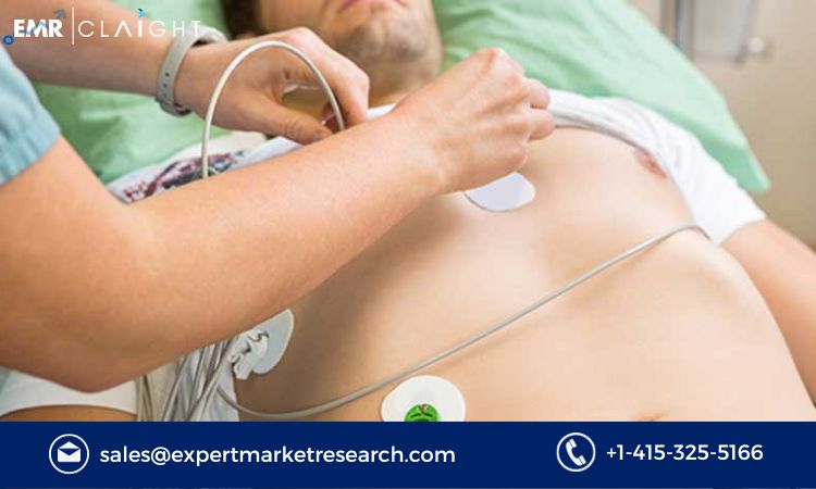 Read more about the article Ambulatory Cardiac Monitoring Devices Market Size, Share, Price, Trends, Growth, Analysis,Report and Forecast 2024-2032