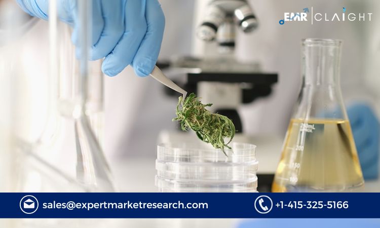 Read more about the article Cannabis Testing Services Market Size, Share, Report and Forecast 2024-2032