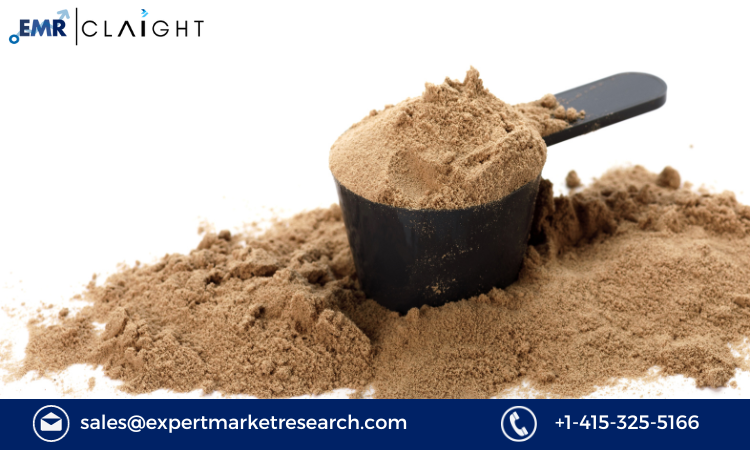 Read more about the article Cricket Protein Powders Market Size, Share, Growth, Report and Forecast 2024-2032