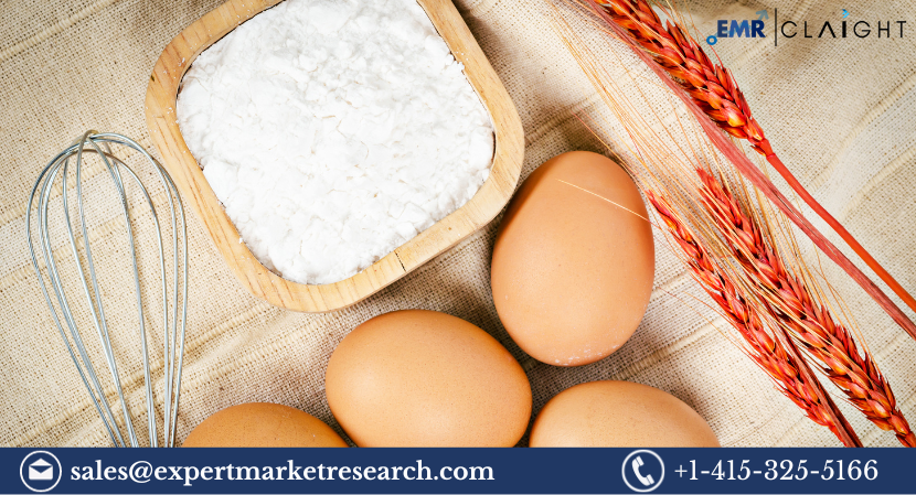 Read more about the article Global Egg Powder Market Size, Share, Price, Trends, Growth, Analysis, Report and Forecast 2024-2032