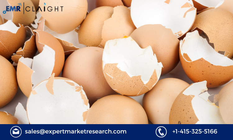 Read more about the article Eggshell Membrane Derivatives Market Size, Share, Trends, Growth, Analysis, Report and Forecast 2024-2032