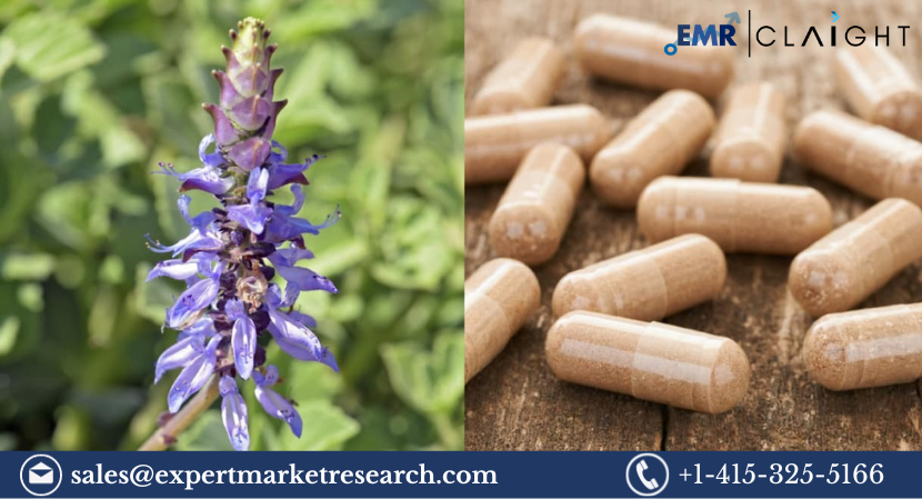 Read more about the article Global Forskolin Market Size, Share, Price, Trends, Growth, Analysis, Report and Forecast 2024-2032