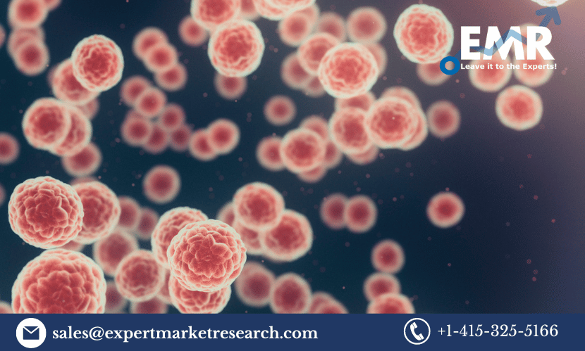 Read more about the article Global HPV Associated Disorders Market Size to Grow at a CAGR of 5% in the Forecast Period of 2024-2032