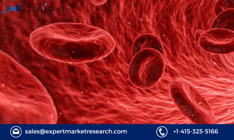 Read more about the article Haemoglobinopathies Market Size, Share, Trends, Growth, Report and Forecast 2024-2032