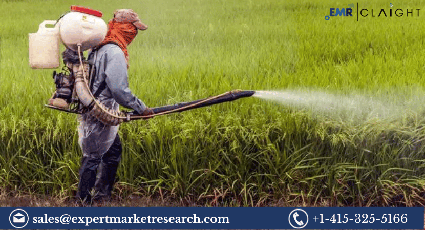 Read more about the article India Agrochemicals Market Size, Share, Industry Report, Growth, Analysis, Price, and Forecast 2024-2032