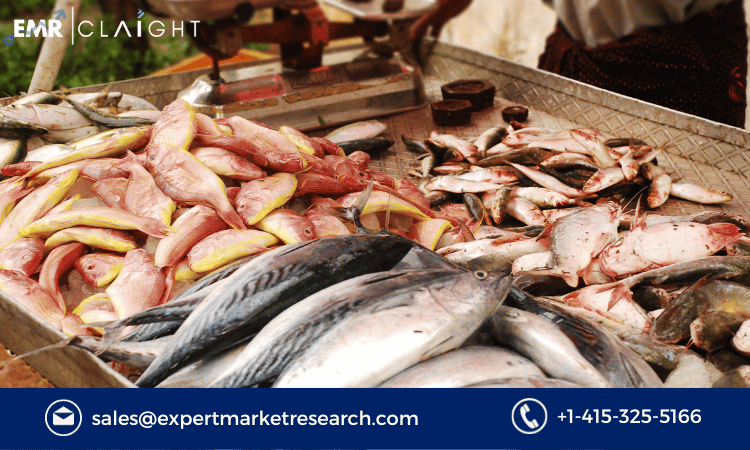 Read more about the article India Fish Market Report, Size, Share, Growth, Analysis, Price, Outlook, Overview and Forecast 2024-2032