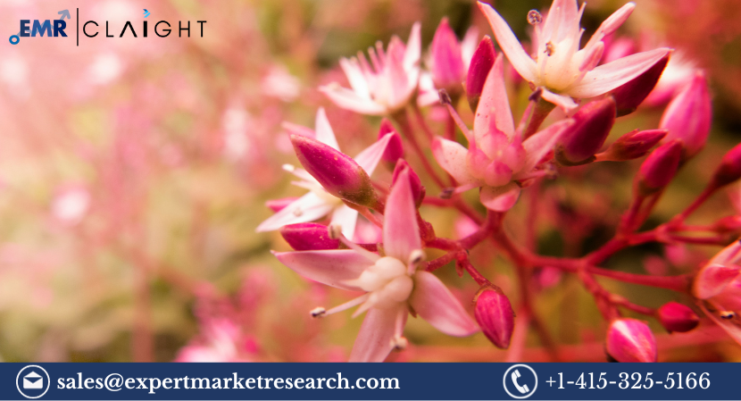 Read more about the article Indian Exotic Flowers Market Size, Share, Price, Trends, Growth, Report and Forecast 2024-2032