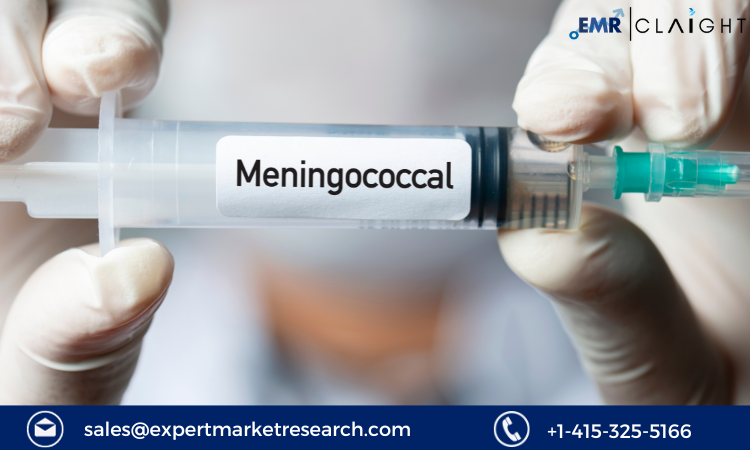 Read more about the article Meningococcal Vaccines Market Size, Share, Growth Report and Forecast 2024-2032