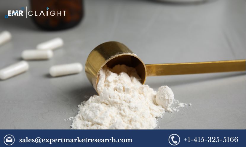 Read more about the article Global Micellar Casein Market Report and Forecast 2024-2032