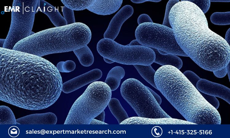 Read more about the article Global Microbiome Sequencing Services Market Report and Forecast 2024-2032