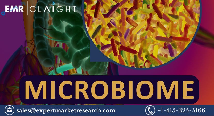 You are currently viewing Global Microbiome Therapeutics Market Size, Share, Price, Trends, Growth, Analysis, Report, Forecast 2024-2032