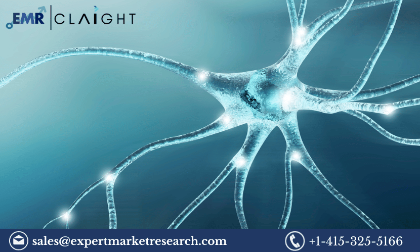 Read more about the article Global Nerve Repair and Regeneration Market Size to Grow at a CAGR of 15.1% in the Forecast Period of 2024-2032