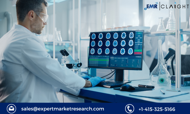 Read more about the article Neurotechnology Market Size, Share, Trends, Growth, Report and Forecast 2024-2032