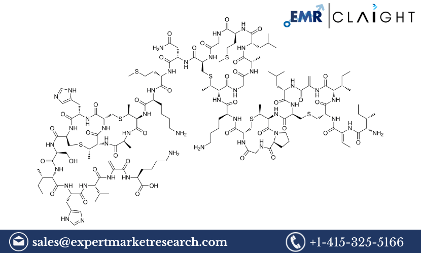 Read more about the article Global Nisin Market Size to Grow at a CAGR of 5.4% in the Forecast Period of 2024-2032