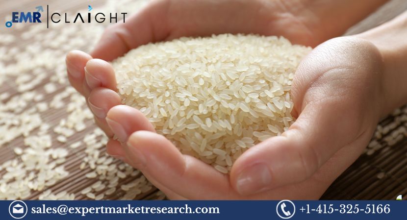 Read more about the article Global Parboiled Rice And White Rice Market Size, Share, Price, Trends, Growth, Analysis, Report, Forecast 2024-2032