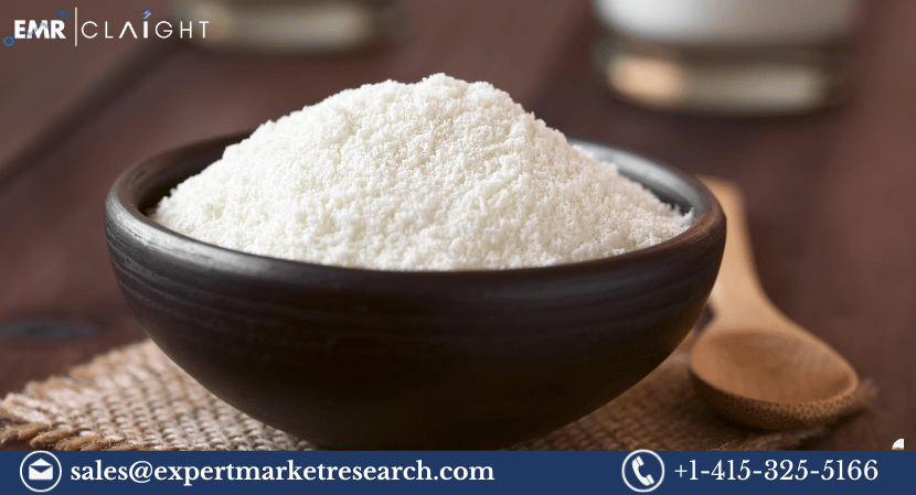 Read more about the article Exploring the Propyl Gallate Market 2024-2032: Trends, Growth and Insights