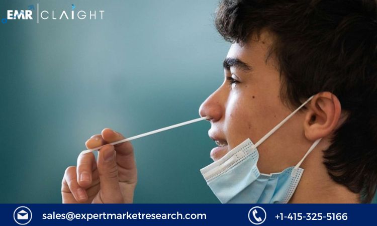 Read more about the article Global Self-Testing Market Size, Share, Price, Trends, Growth, Analysis,  Report and Forecast 2024-2032