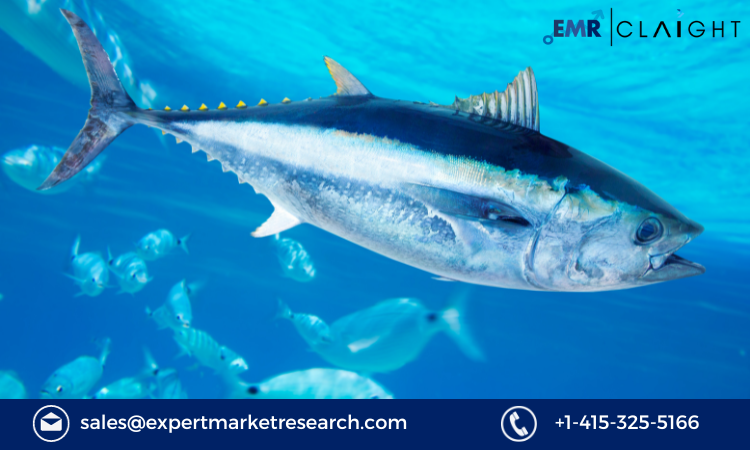 Read more about the article South Korea Tuna Fish Market Size, Trends, Growth, Analysis, Report and Forecast 2024-2032