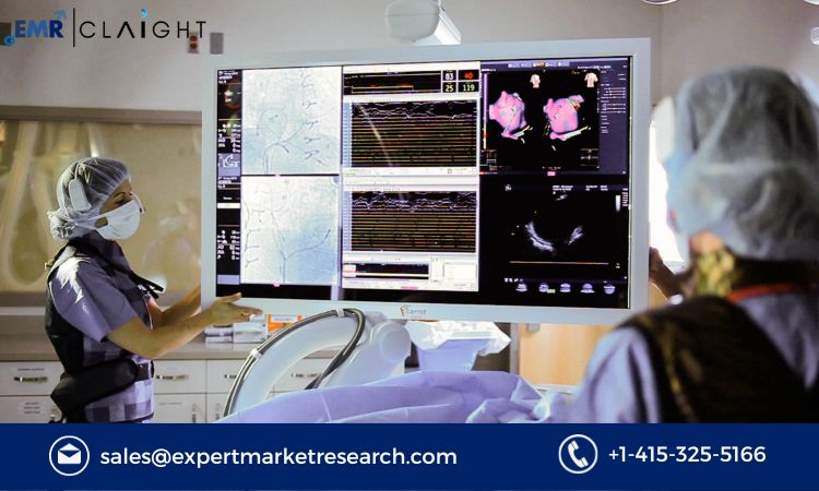 Read more about the article Global Surgical Monitors Market Size, Share, Price, Trends, Growth, Analysis, Report and Forecast 2024-2032