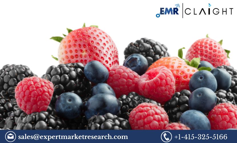 Read more about the article United Kingdom Berries Market Share, Size, Price, Report and Forecast 2024-2032