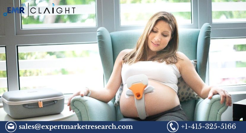 Read more about the article Global Wearable Pregnancy Devices Market Size, Share, Price, Trends, Growth, Analysis, Report and Forecast 2024-2032