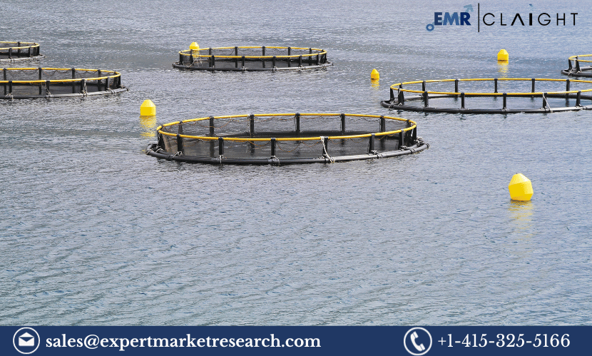 Read more about the article Global Aquaculture Cage Market Size, Share, Growth, Trends, Analysis, Key Players, Report, Forecast 2024-2032