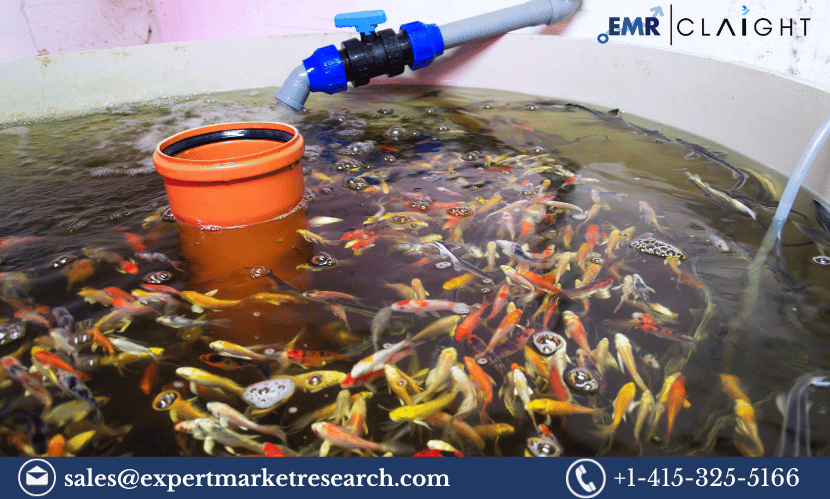 Read more about the article Global Aquaculture Market Size, Share, Growth, Trends, Analysis, Key Players, Report, Forecast 2024-2032