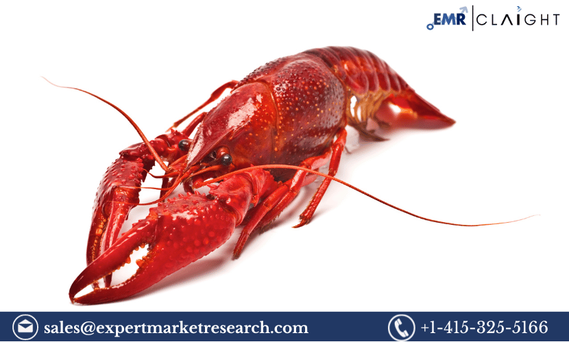 You are currently viewing Global Crayfish Market Share, Size, Growth, Analysis, Demand, Key Players, Report, Forecast 2024-2032