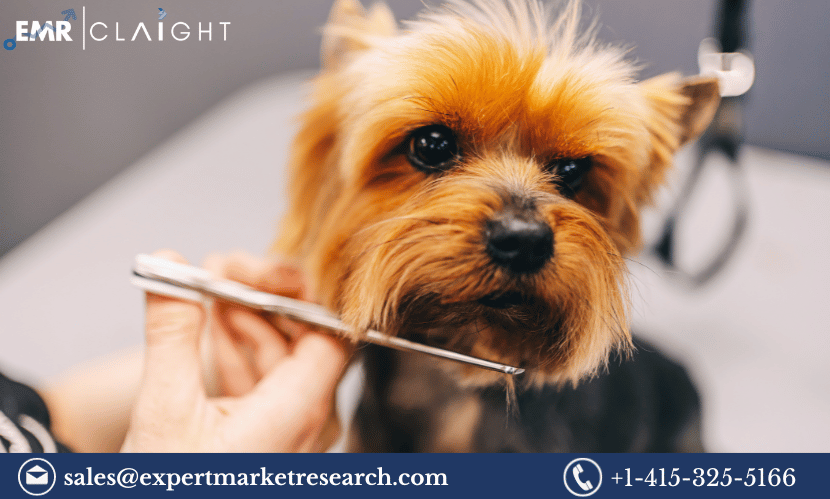 Read more about the article Saudi Arabia Pet Care Market Size, Growth, Share, Analysis, Key Players, Trends, Report, Forecast 2024-2032