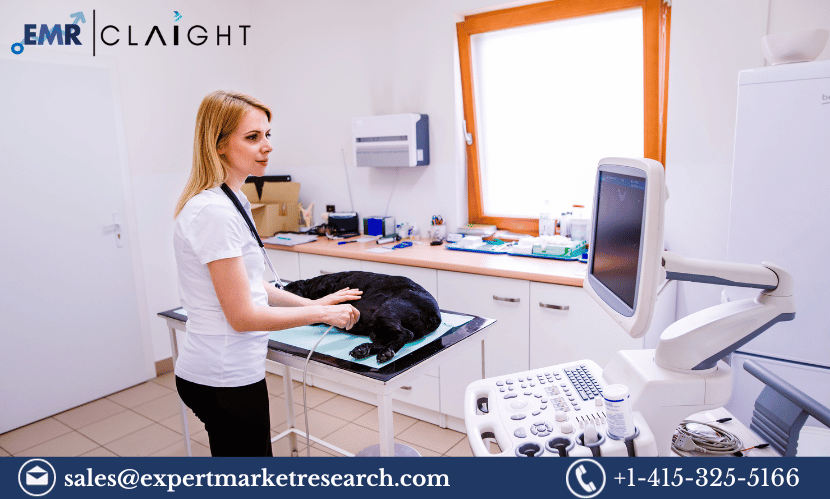 Read more about the article Global Veterinary Ultrasound Devices Market Size, Share, Growth, Trends, Analysis, Key Players, Report, Forecast 2024-2032