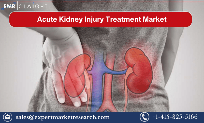 Read more about the article Global Acute Kidney Injury Treatment Market Share, Size, Trends, Analysis, Research Report an Forecast 2024-2032