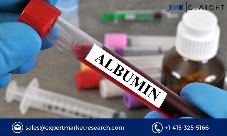 Read more about the article Global Albumin Market Size, Share, Price, Trends, Growth, Analysis, Report and Forecast 2024-2032