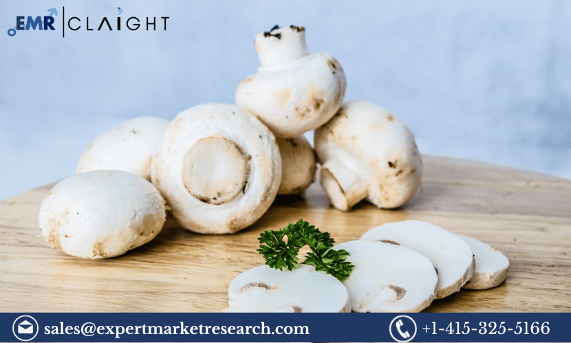 Read more about the article Argentina Mushroom Market Size to Grow at a CAGR of 6.4% in the Forecast Period of 2024-2032