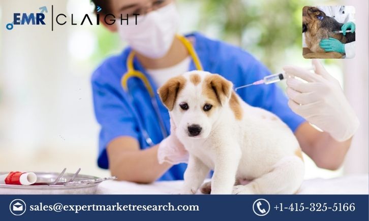 Read more about the article Asia Pacific Veterinary Vaccines Market Share, Size, Trends, Growth, Analysis, Report and Forecast 2024-2032