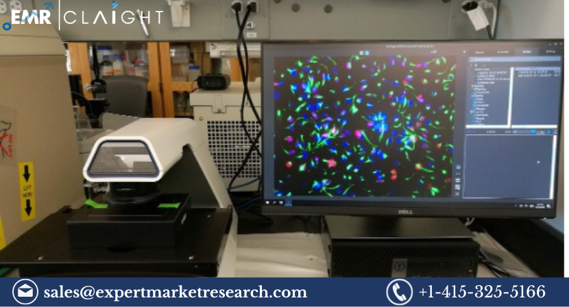 Read more about the article Global Automatic Cell Imaging System Market Size, Share, Price, Trends, Growth, Analysis, Report and Forecast 2024-2032