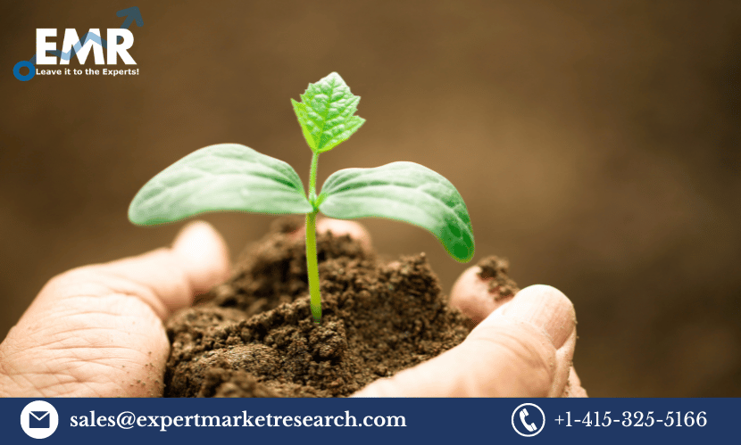 Read more about the article Global Bio-Agriculture Market Size To Grow At A CAGR Of 12.1% In The Forecast Period Of 2024-2032