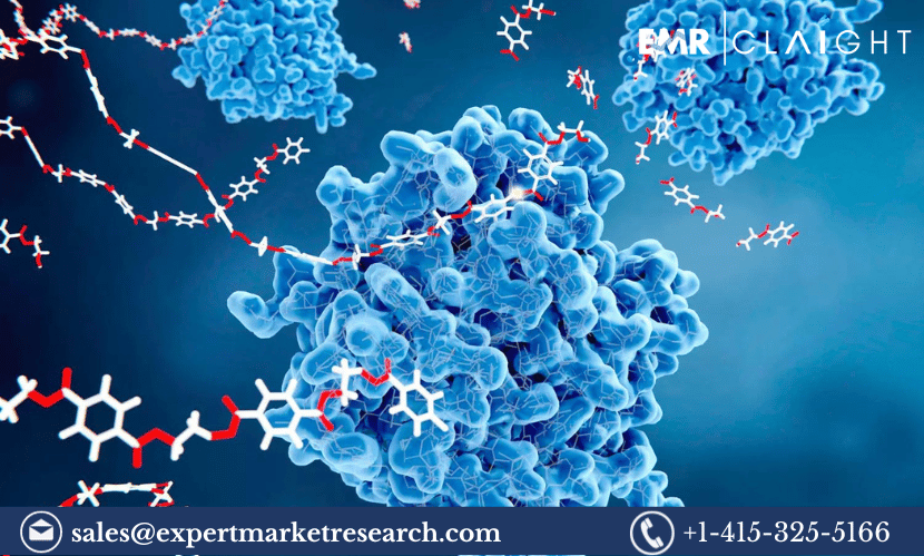 Read more about the article Global Biocatalysts Market Size, Share, Growth, Analysis, Price, Outlook, Report and Forecast 2024-2032