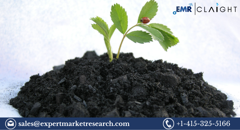 Read more about the article Global Biochar Market Size, Share, Price, Growth, Analysis, Report and Forecast 2024-2032