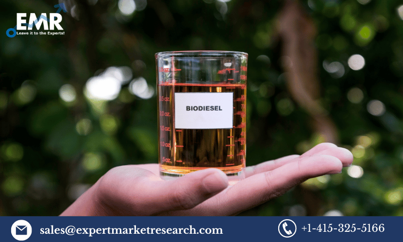 Read more about the article Global Biodiesel Market Size To Grow At A CAGR Of 5.6% In The Forecast Period Of 2024-2032