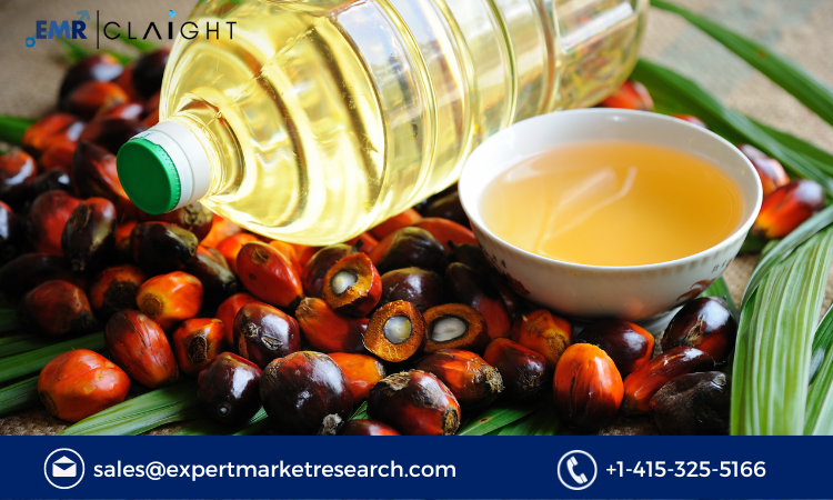 Read more about the article Brazil Palm Oil Market Size, Share, Growth Report and Forecast 2024-2032