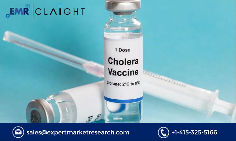 Read more about the article Global Cholera Vaccines Market Size, Share, Report and Forecast 2024-2032