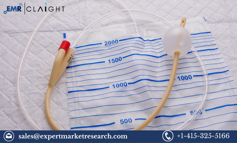 Read more about the article Global Catheter Market Size, Share, Price, Trends, Growth, Analysis, Report and Forecast 2024-2032