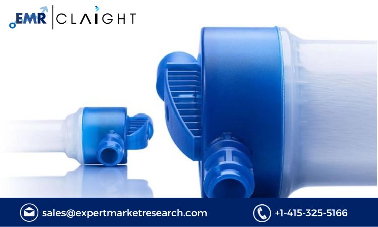 Read more about the article Global Dialyzer Market Size, Share, Report and Forecast 2024-2032