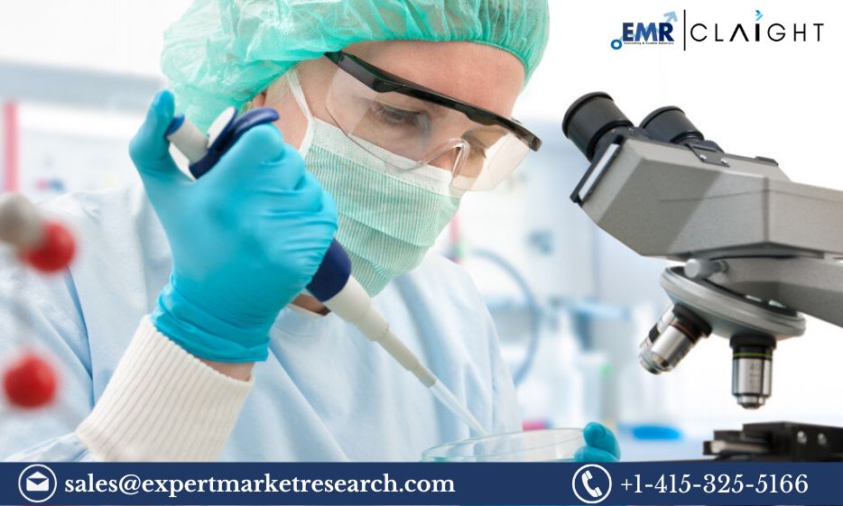 Read more about the article Global Clinical Trials Support Services Market Size, Share, Price, Trends, Growth, Analysis, Report and Forecast 2024-2032