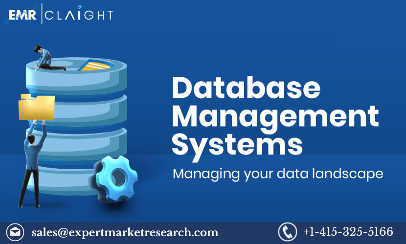 Read more about the article Global Database Management System (DBMS) Market Share, Size, Trends, Analysis, Outlook, Research Report and Forecast 2024-2032